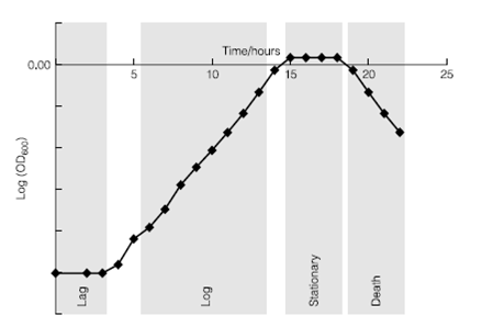 589_Growth phases of a planktonic culture.png